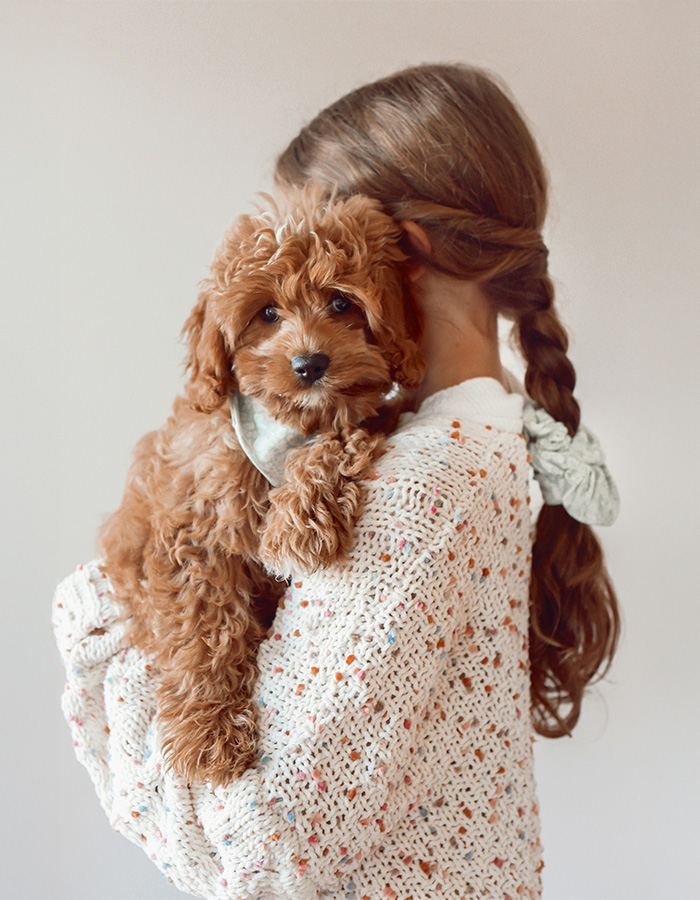 A girl looking off to the side with her brown puppy in front of her face