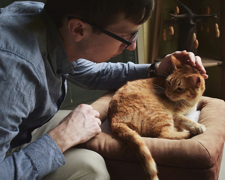 A man petting an orange cat while it lays in a cat bed