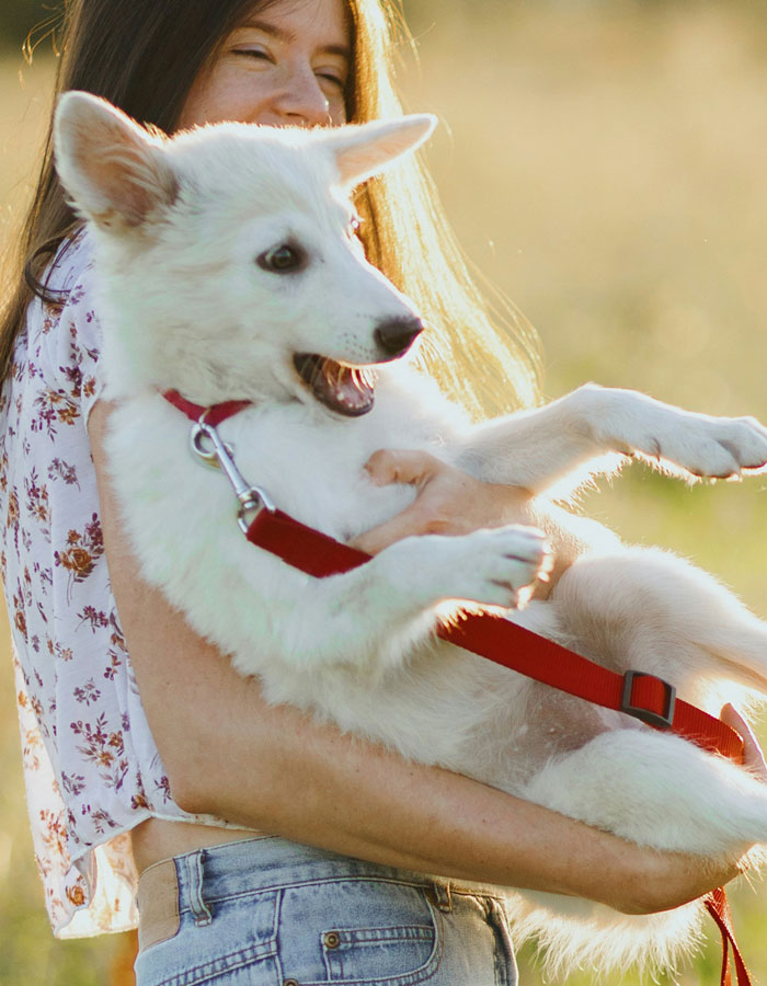 Lady carring her dog in shoulder