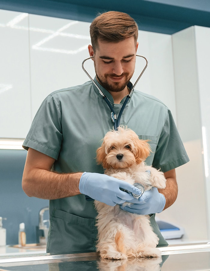 The girl clicking selfie with her dog